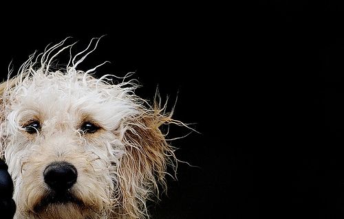 00718b3f40165a4c3bcb036c56e46b3d