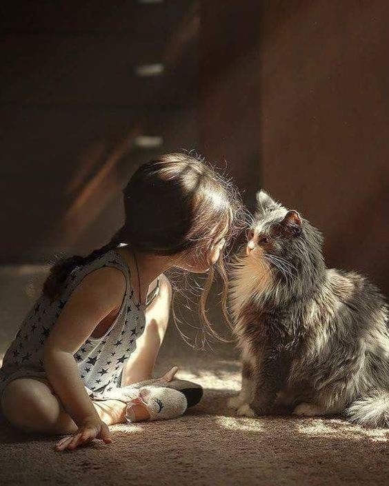 49e6879a2d9292aaf5c4821e5ec8bd5c