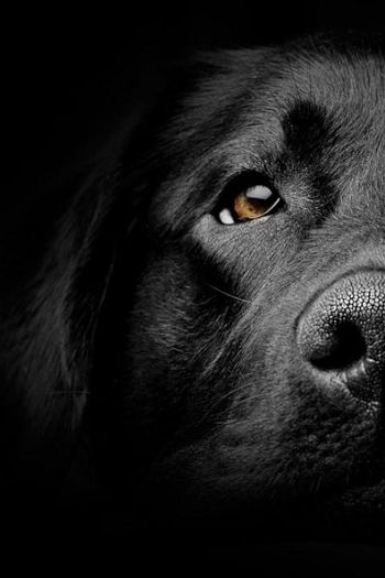 c111d4f6708834a1c88abda6a7d15976