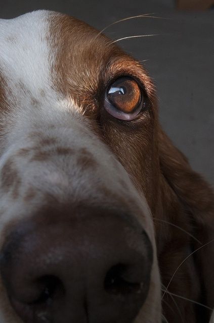 af25d4d863b4f2c7e93bea65e1ff7cb7