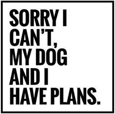 f9312aed77942e433fdaaf7fb0d9aa77