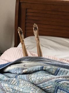 60143d3bf4e3d069ee04f375f65c9cdd