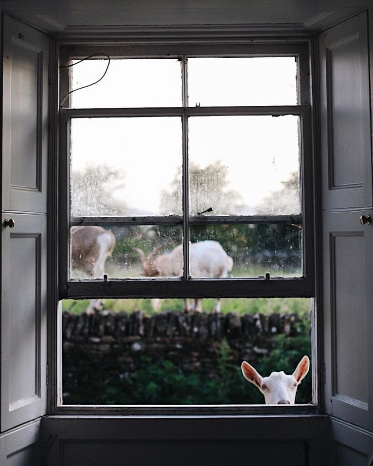 tumblr_pllzhiyaV41sn4o7po1_1280