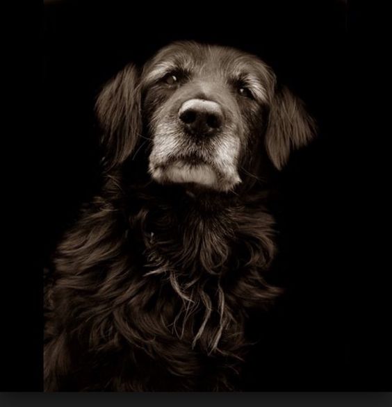 3e2d2eaf741b190268c67c185378c9ca